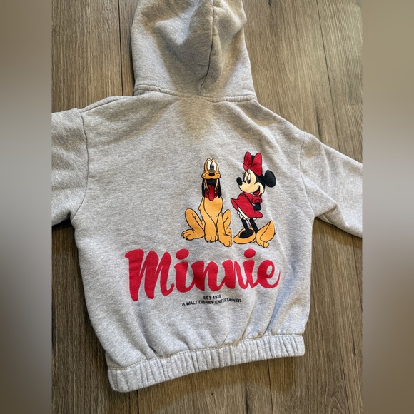 ZARA Disney Minnie Mouse Girls Hoodie SZ 6 Sweater Full Zip Grey Graphic Pluto - Picture 13 of 16